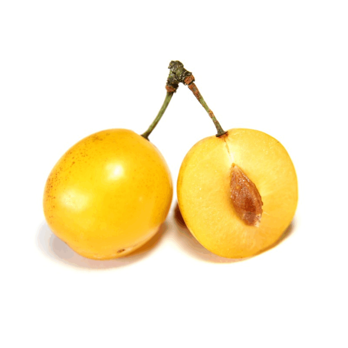 Слива желтая