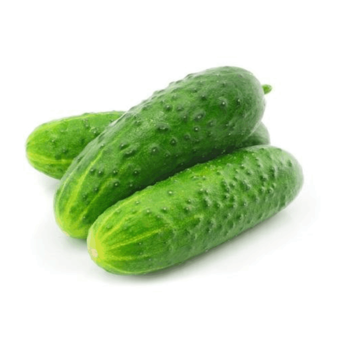 Огурец Чимкент
