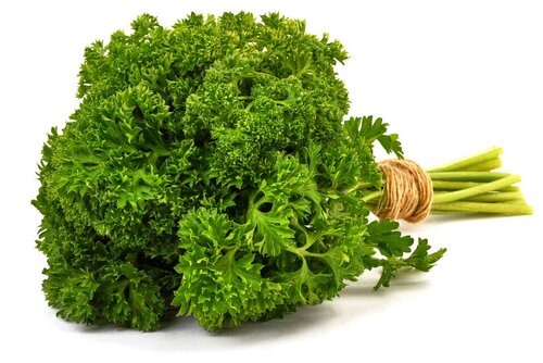 Петрушка кудрявая