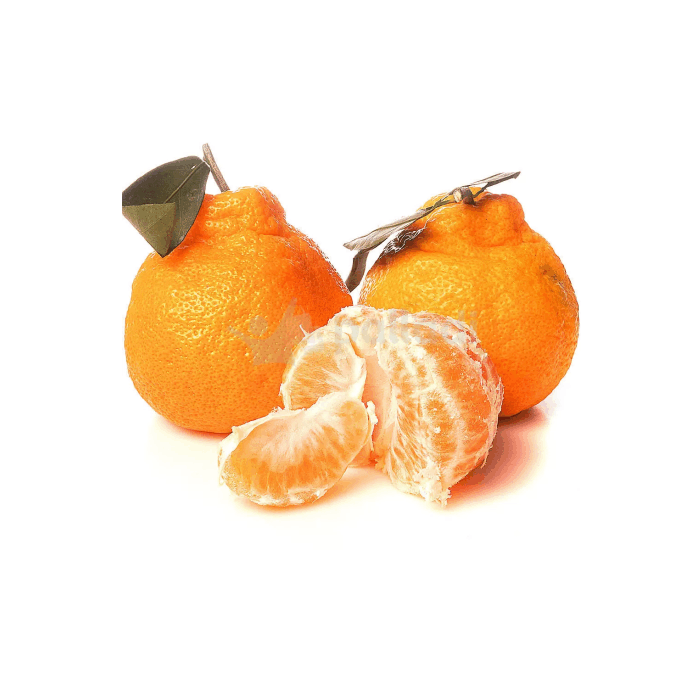 Мандарин Панда